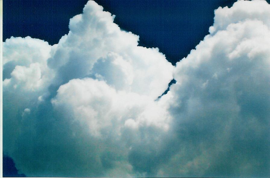 Yummy Clouds! Photo by The Art Angel Bethann Shannon 2008