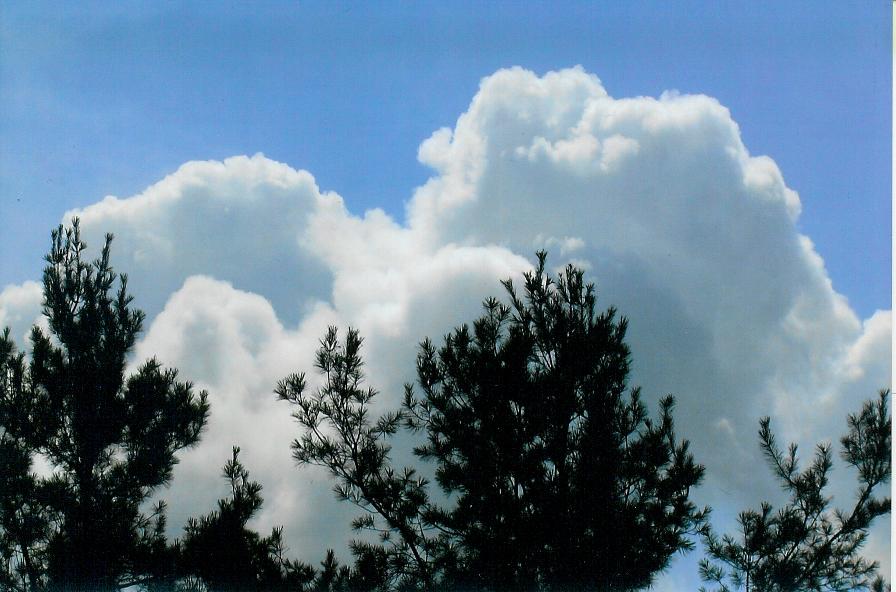 OH HAPPY DAY! YEAH OBAMA! PHOTO by Bethann Shannon  A.K.A. The Art Angel