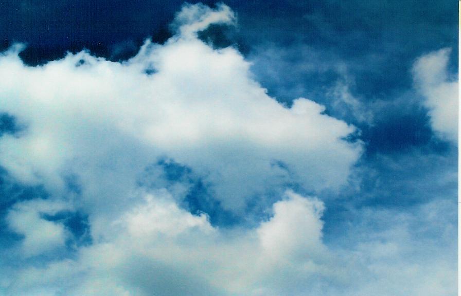 Blue Skies with Obama! Photo by Bethann Shannon A.K.A. The Art Angel