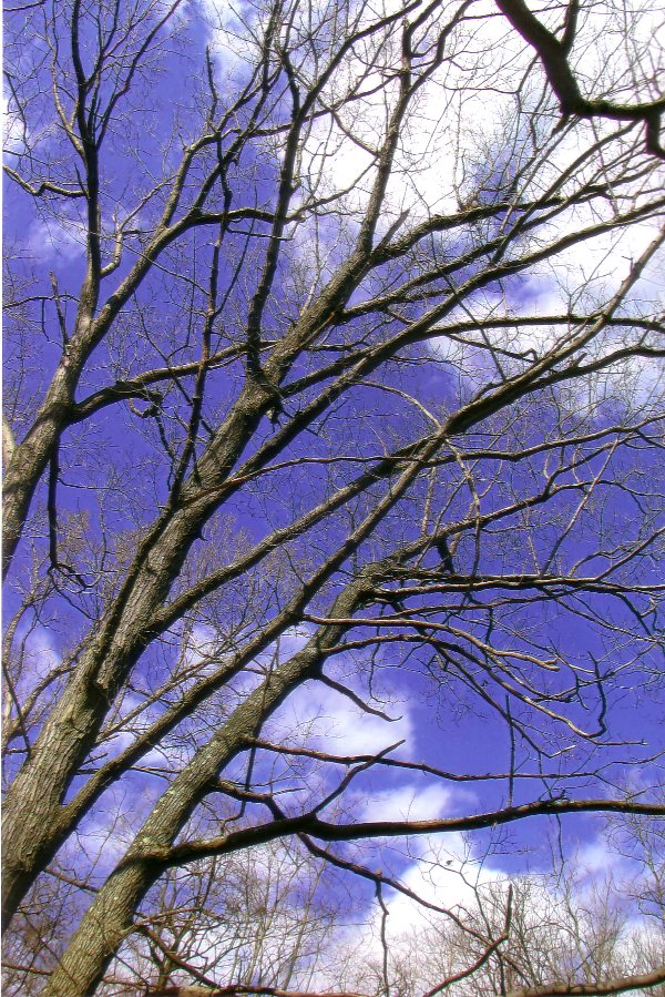 Another Beautiful Day In The Berkshires