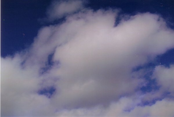 HEART SHAPED CLOUD by The Art Angel Bethann Shannon