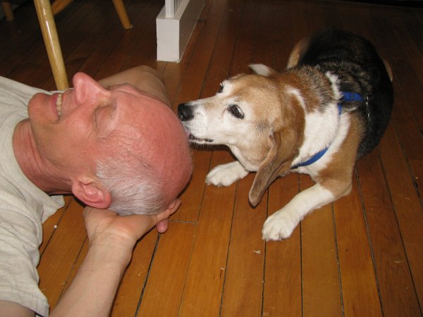 "Salty, not sweet!" says Rosie the Beagle